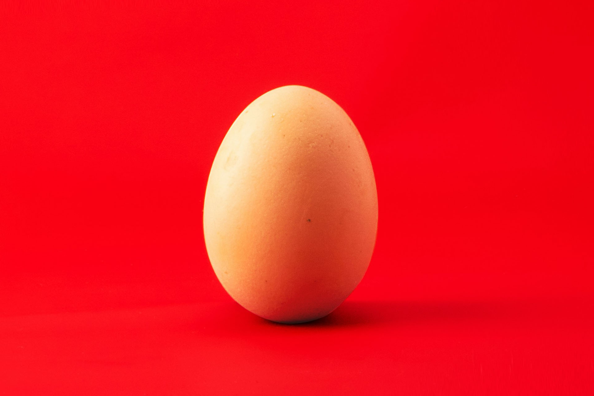 tojás