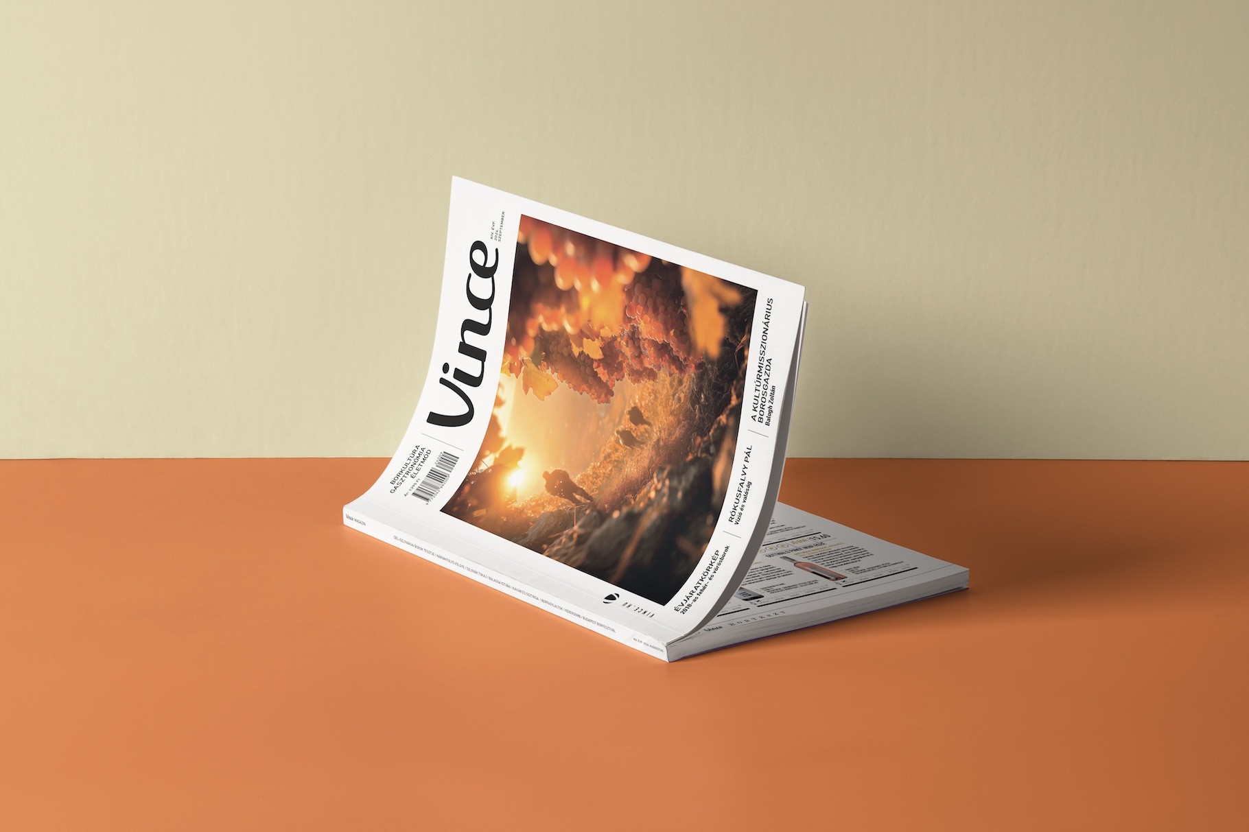 Magazin