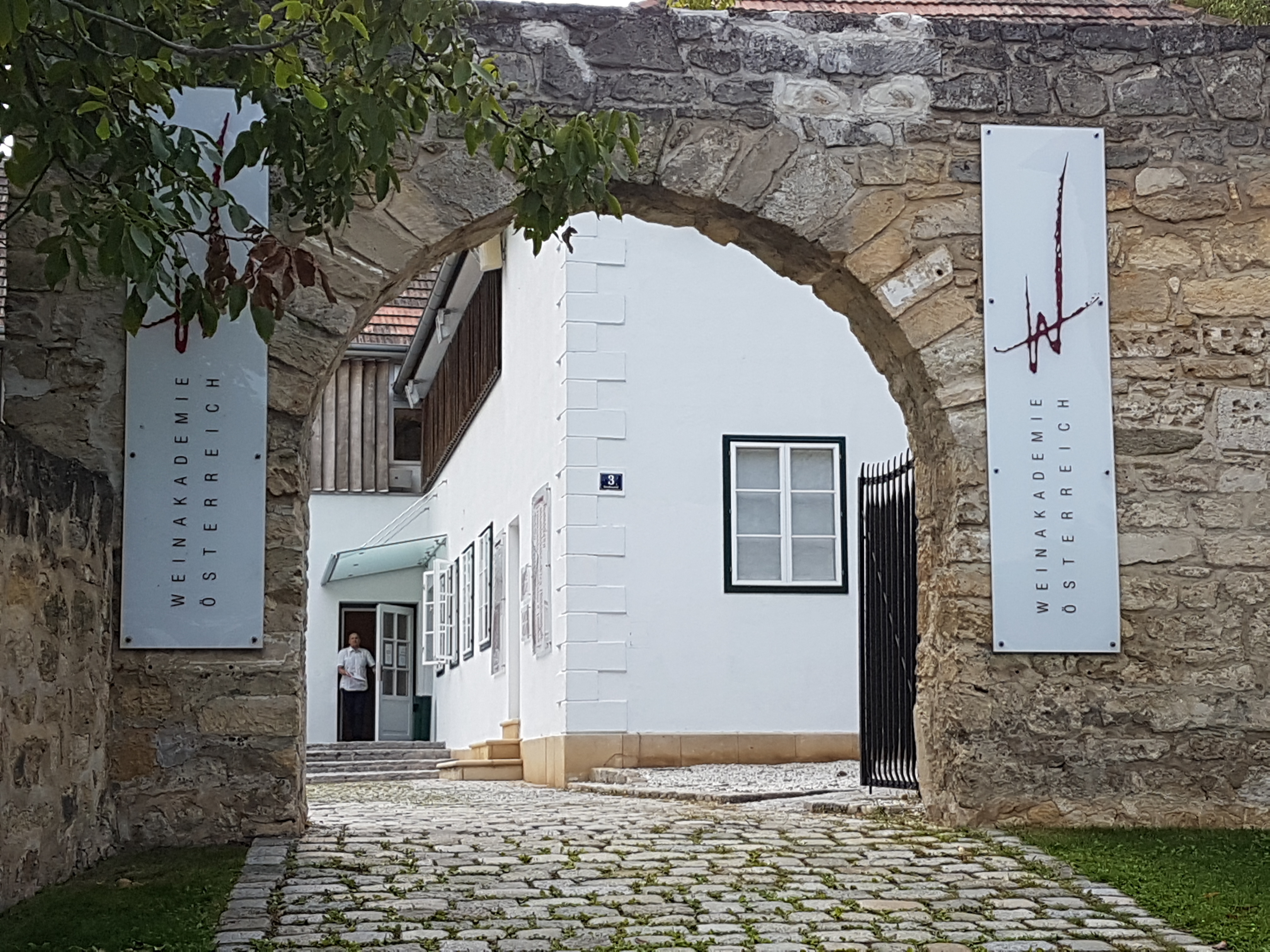 Szakma