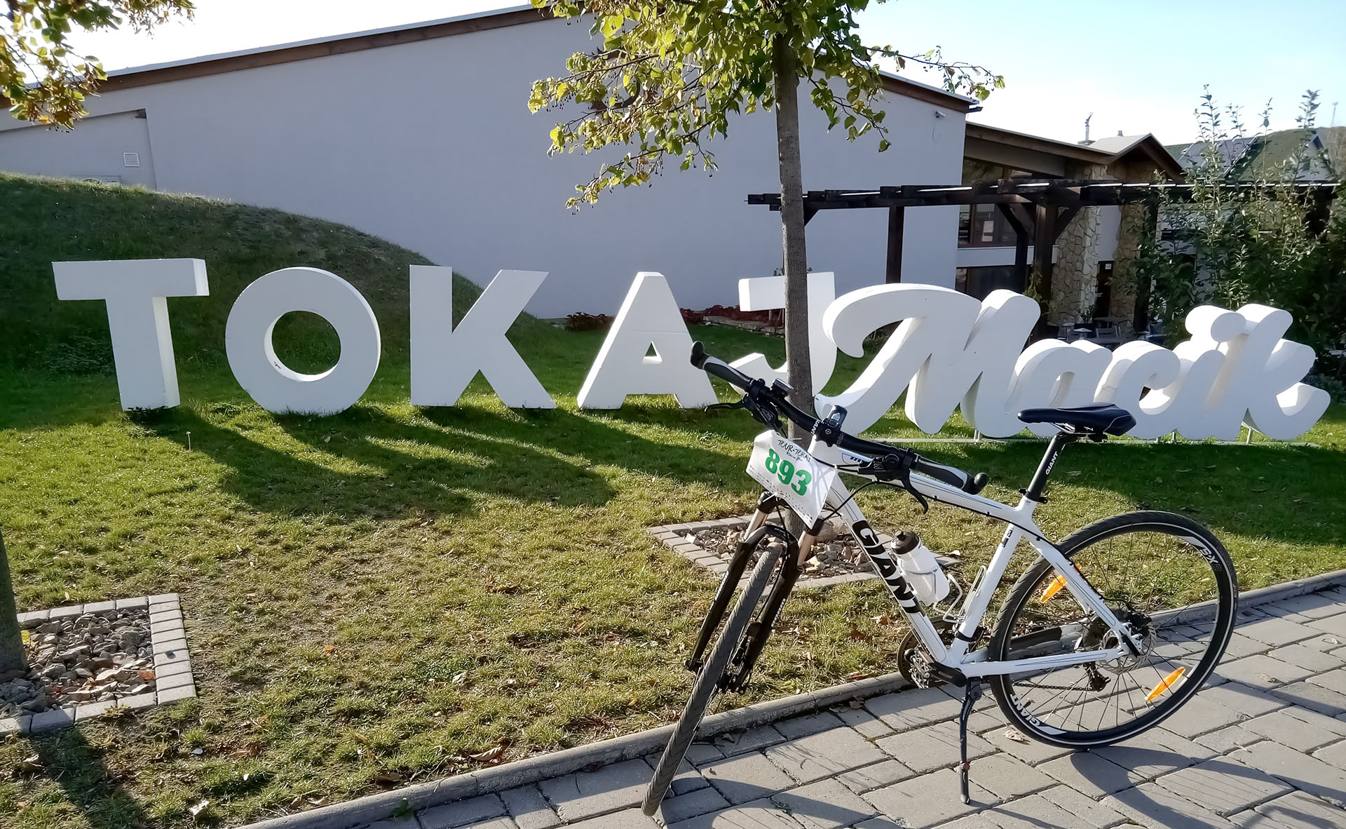 Olvasnivaló
